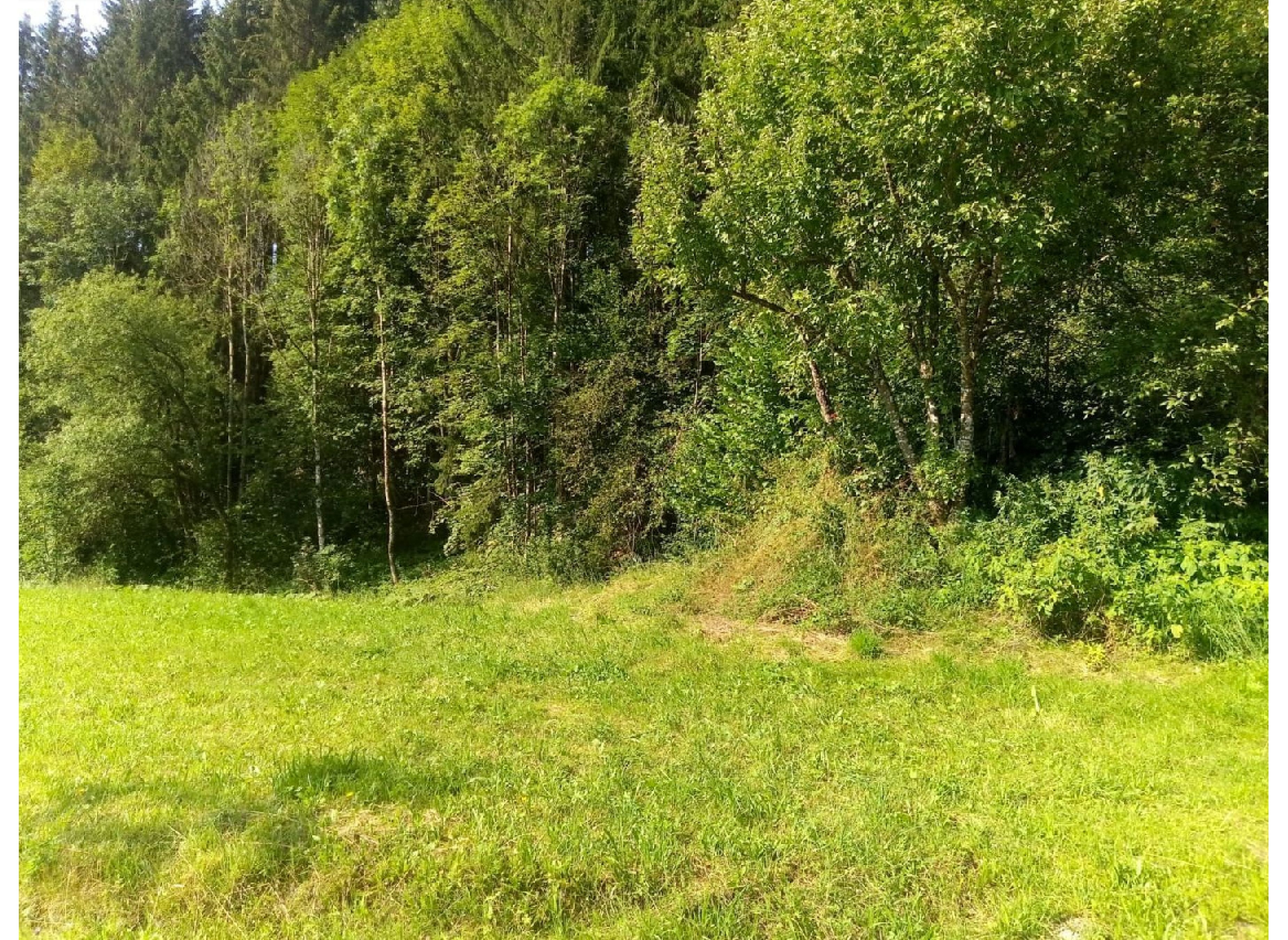 Am Haindlbach — Bobilplass in Ardning