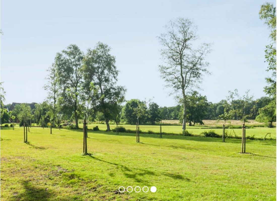 Camping Recreatiepark De Groene Valk — Kemping in Zeegse