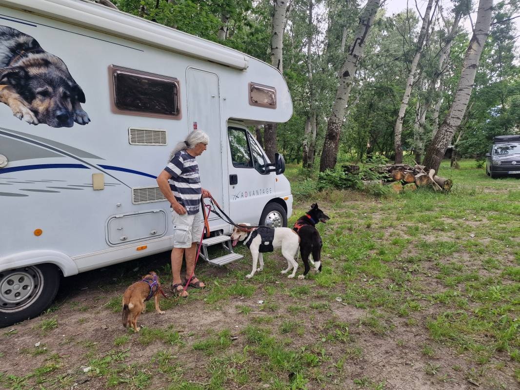 Tisza Beach Wild Camping — Bobilplass in Szeged
