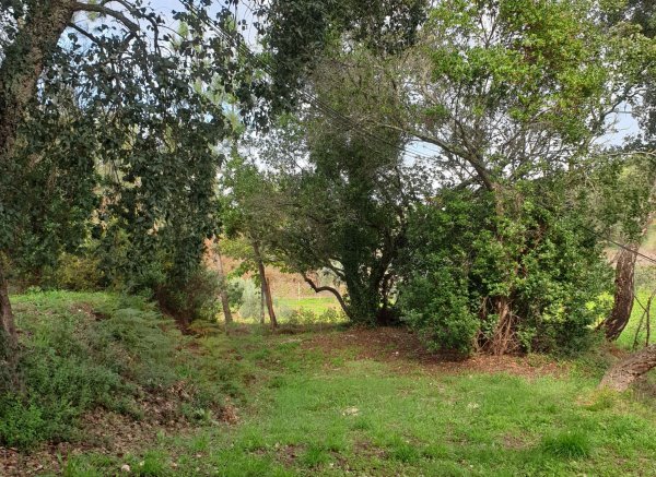 Quinta Portugo — Photo 2