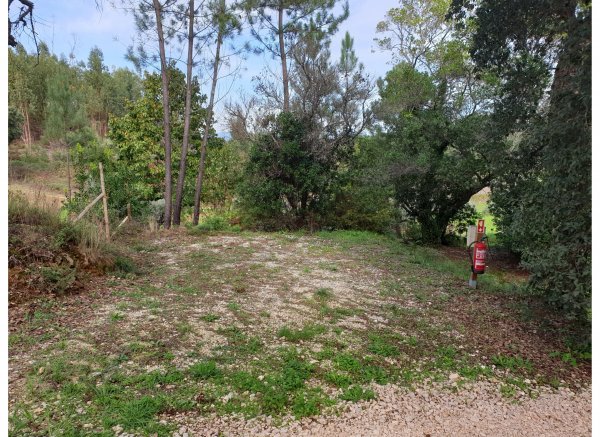 Quinta Portugo — Photo 3