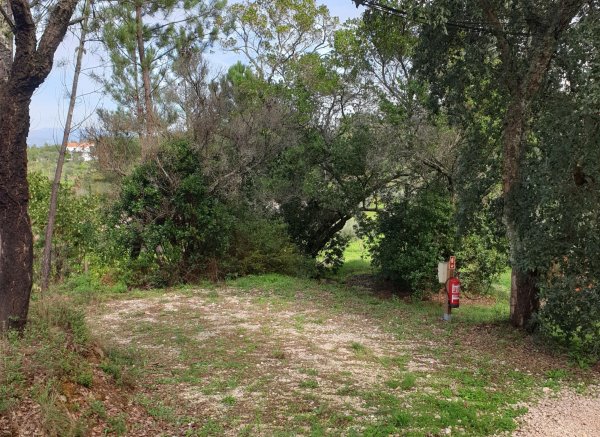 Quinta Portugo — Photo 3