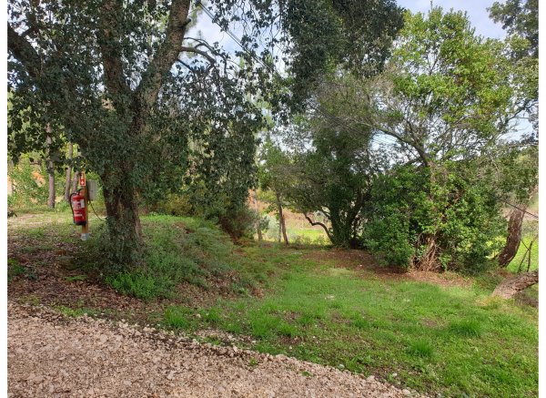 Quinta Portugo — Photo 4