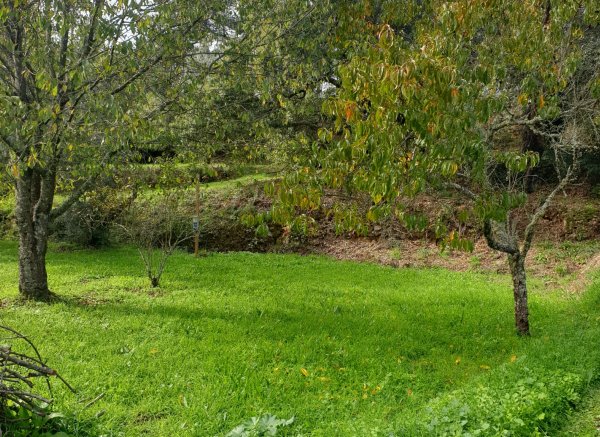 Quinta Portugo — Photo 5