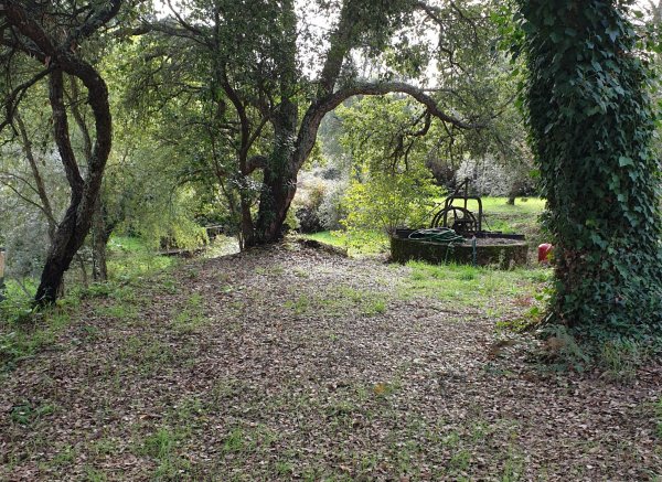 Quinta Portugo — Photo 6