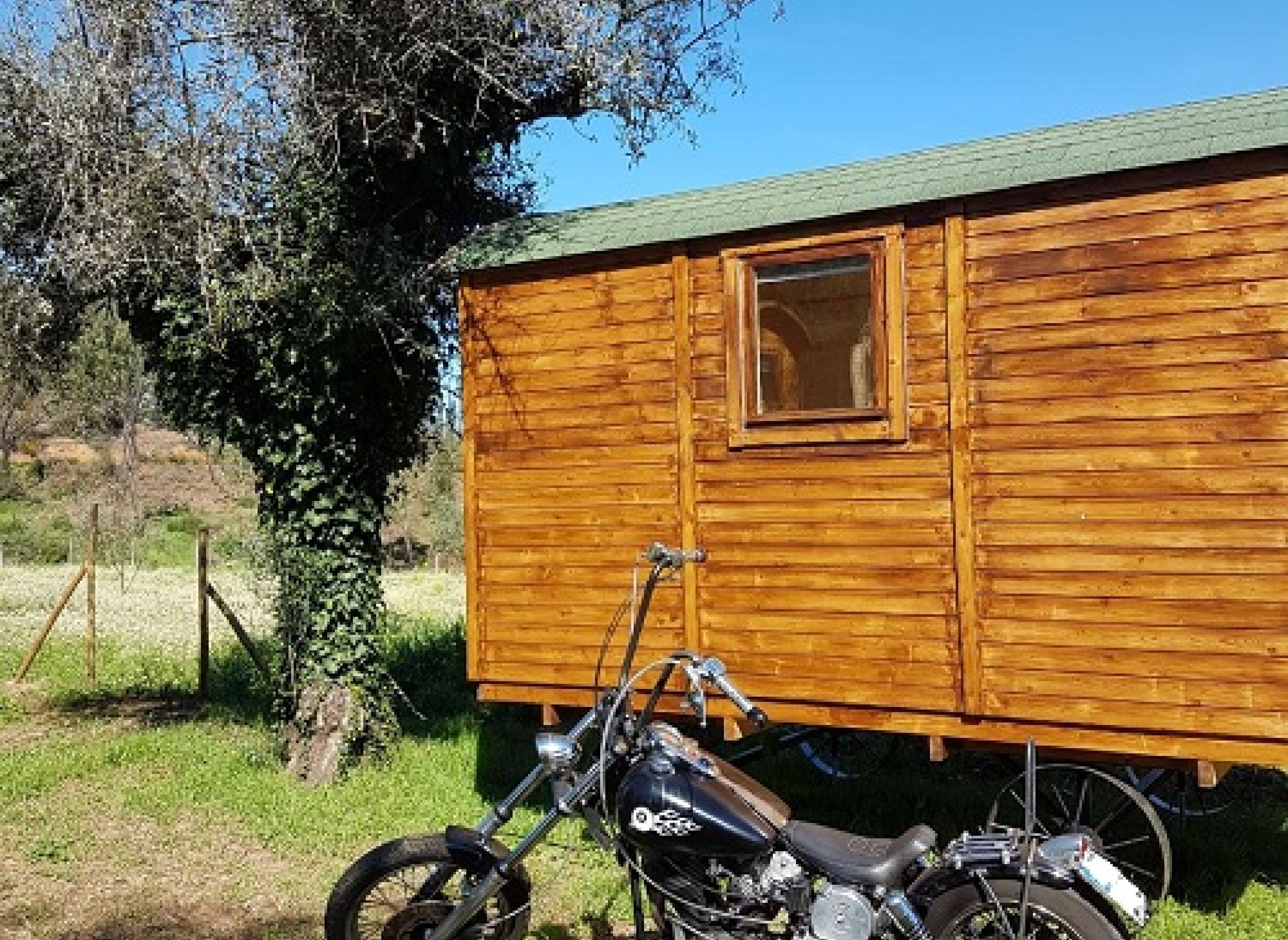 Quinta Portugo — Campervan Site in Cernache do Bonjardim