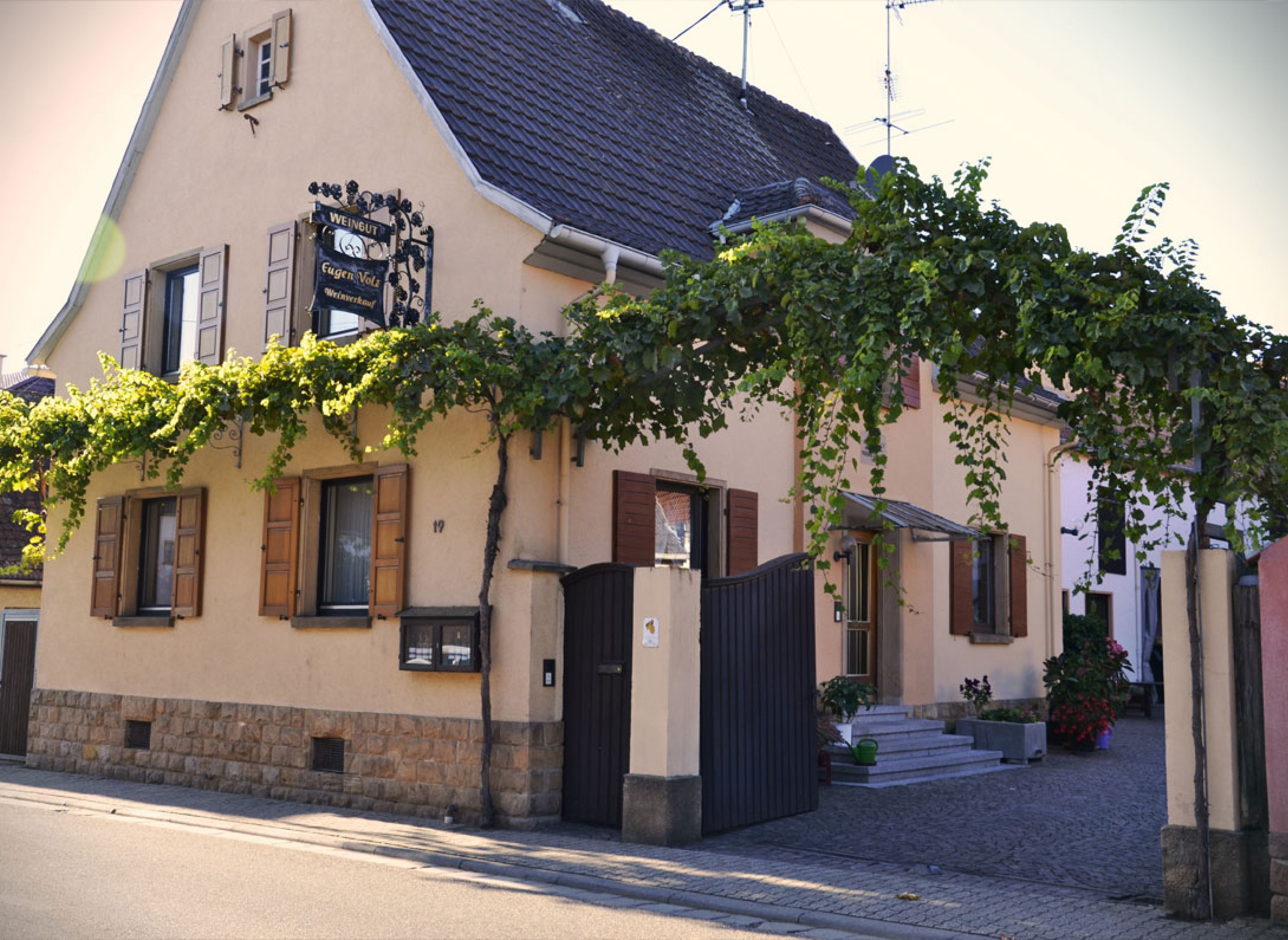 Camper Stellplatz auf dem Weingut — Vinícola in Essingen
