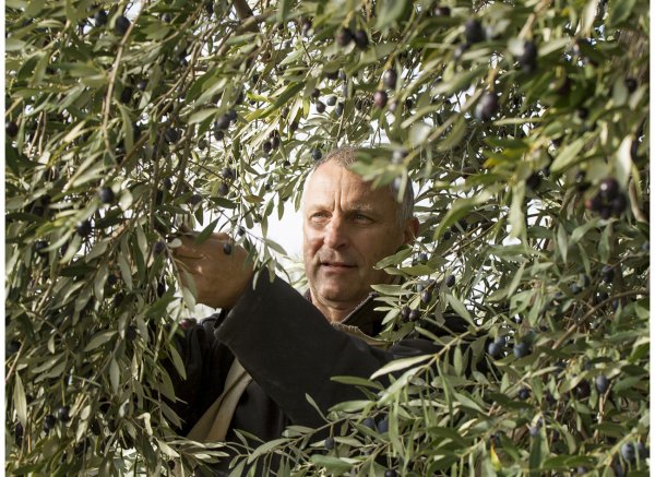 Domaine Piallat — Photo 3