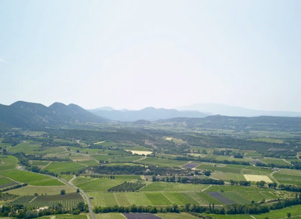 Domaine Piallat — Photo 4