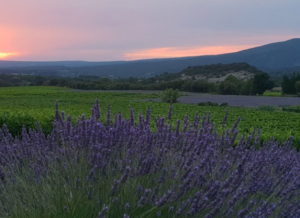 Domaine Piallat — Photo 5