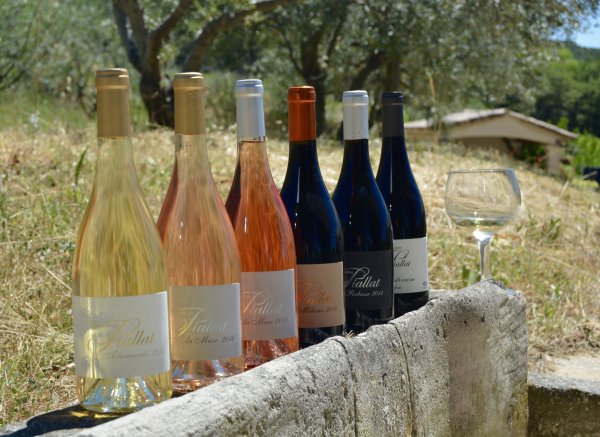 Domaine Piallat — Photo 6