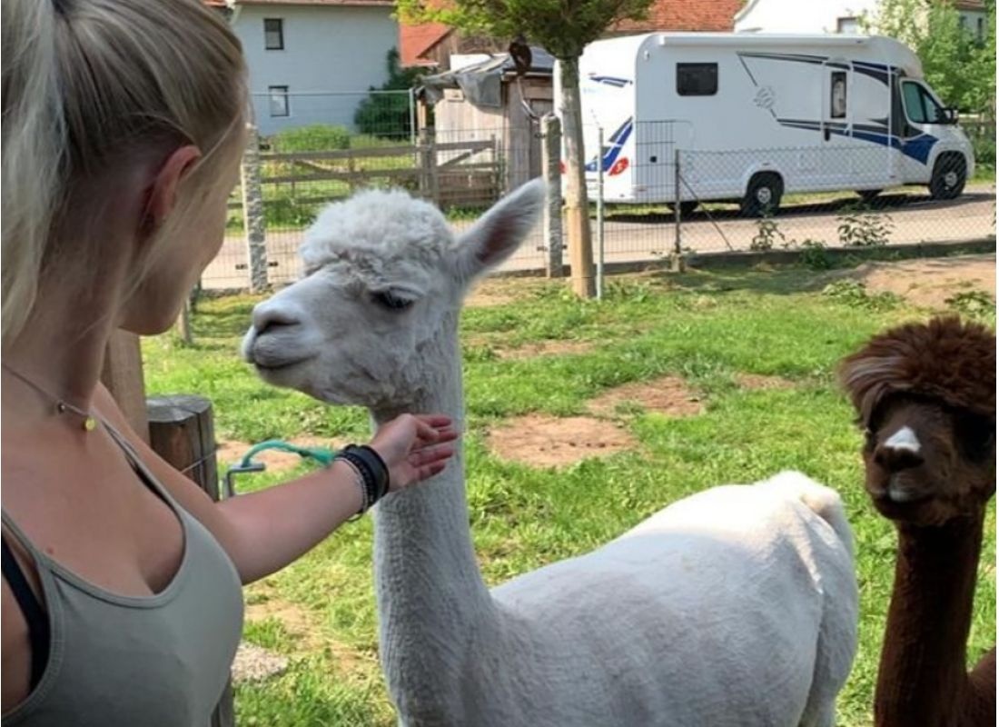Stellplatz an der Alpakaweide — Sítio para autocaravanas in Pfaffenhausen