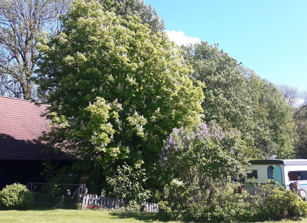 Hyggehof — Photo 3