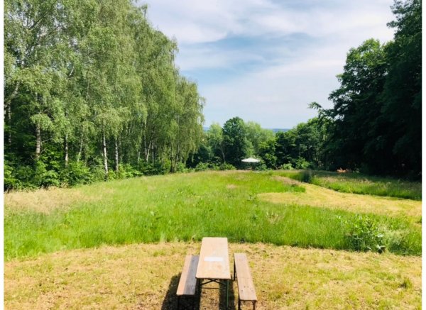 Ruhiger Vanstellplatz mit Harzblick — Photo 2