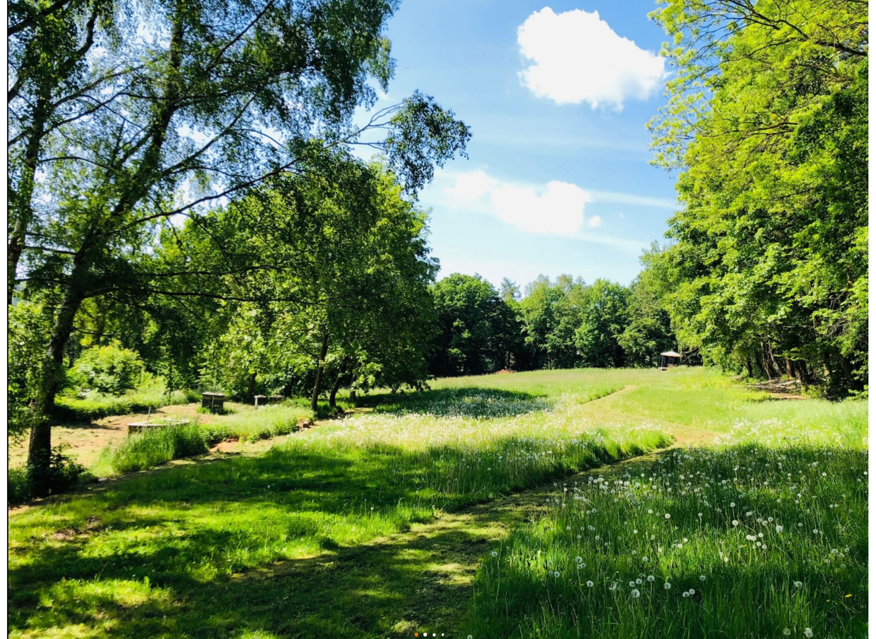 Ruhiger Vanstellplatz mit Harzblick — Karavan Sitesi in Landolfshausen