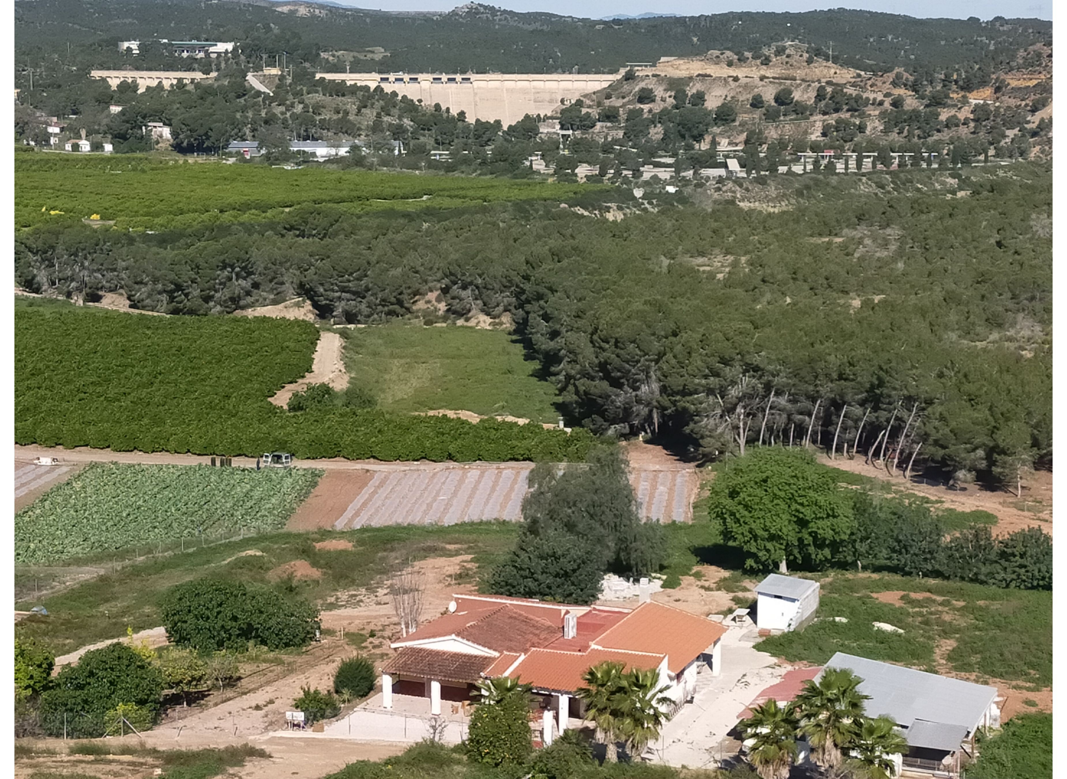Rincón acogedor rodeado de bosque, familiar ycalma — Stellplatz in Santomera
