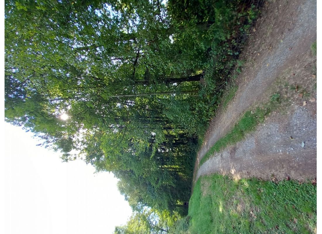 Waldlichtung — Stellplatz in Eggenwil