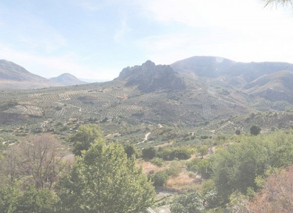 Camping el Cantonet — Photo 2