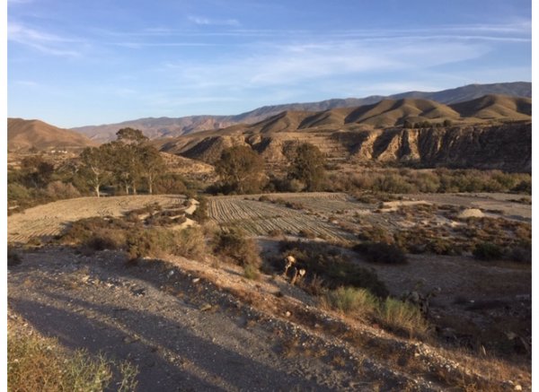 Tabernas — Photo 2