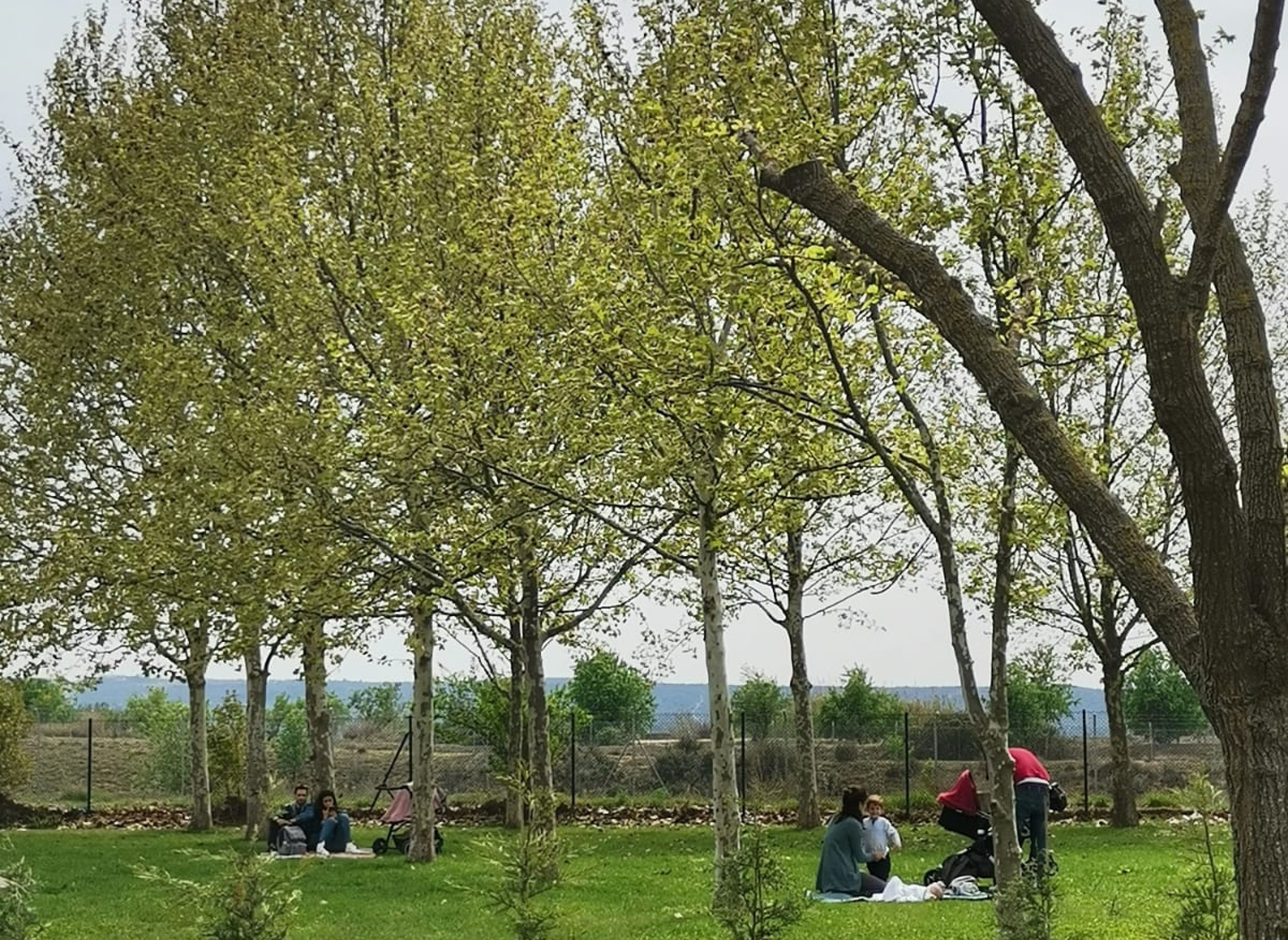 Manreana, parc. Parque rural y familiar — Sp. parking dla kamperów in Juneda