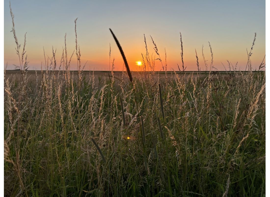 Camping Sudersé — Kemping in Workum