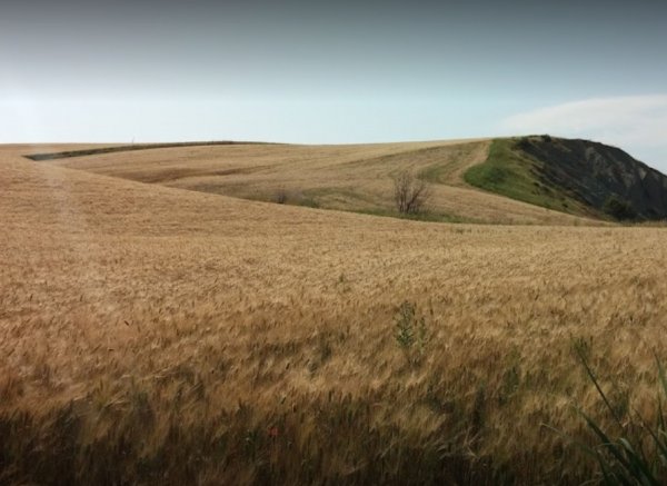 DI VITO FARM — Photo 2