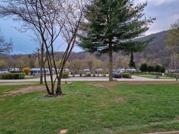 Camping- & Ferienpark Teichmann — Photo 5