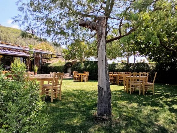 Camping Gjirokaster — Photo 2