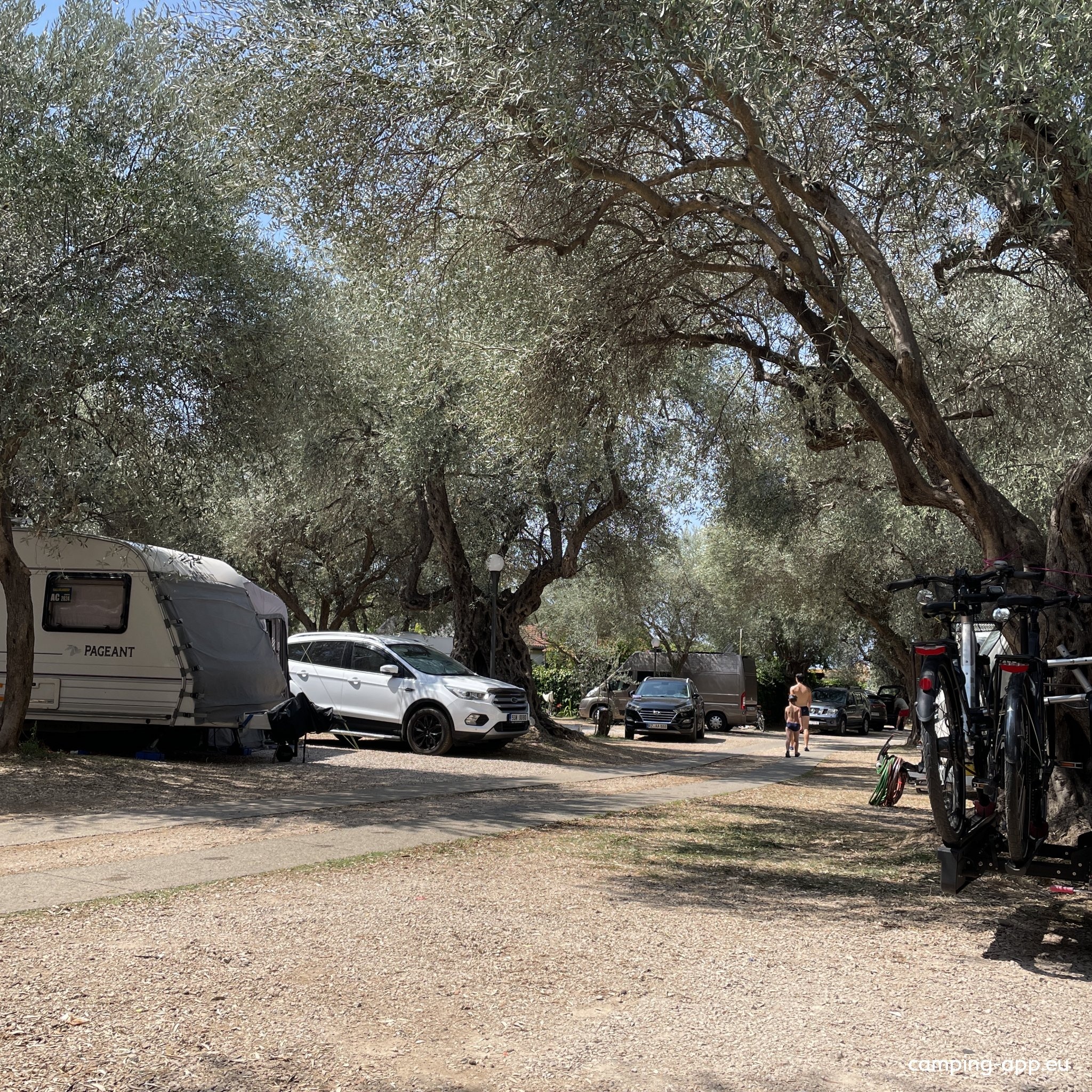 Camp Oliva — Campingplass in Utjeha