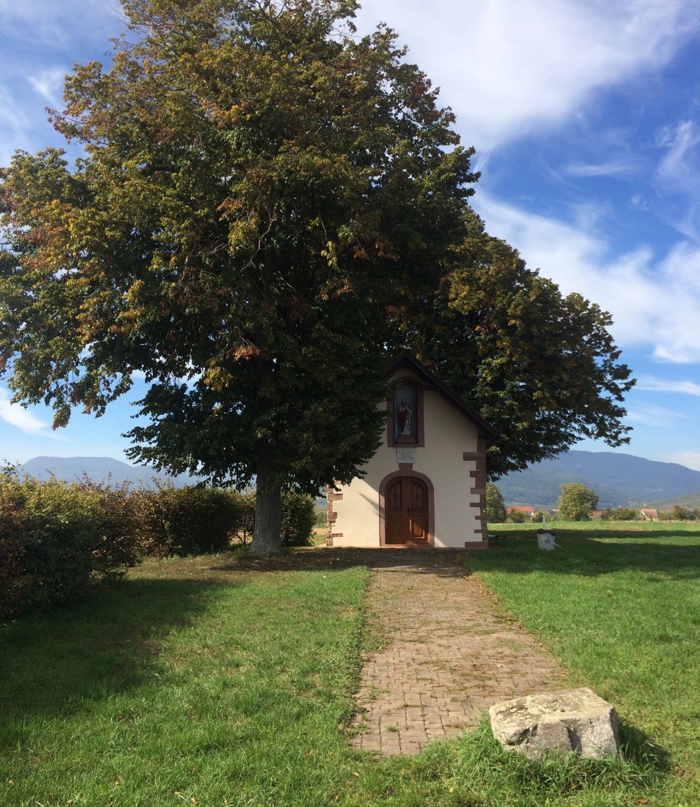 Camping Les Noyers — Kamp yeri in Bergheim