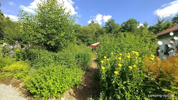 Camping Mont Dragon — Photo 4