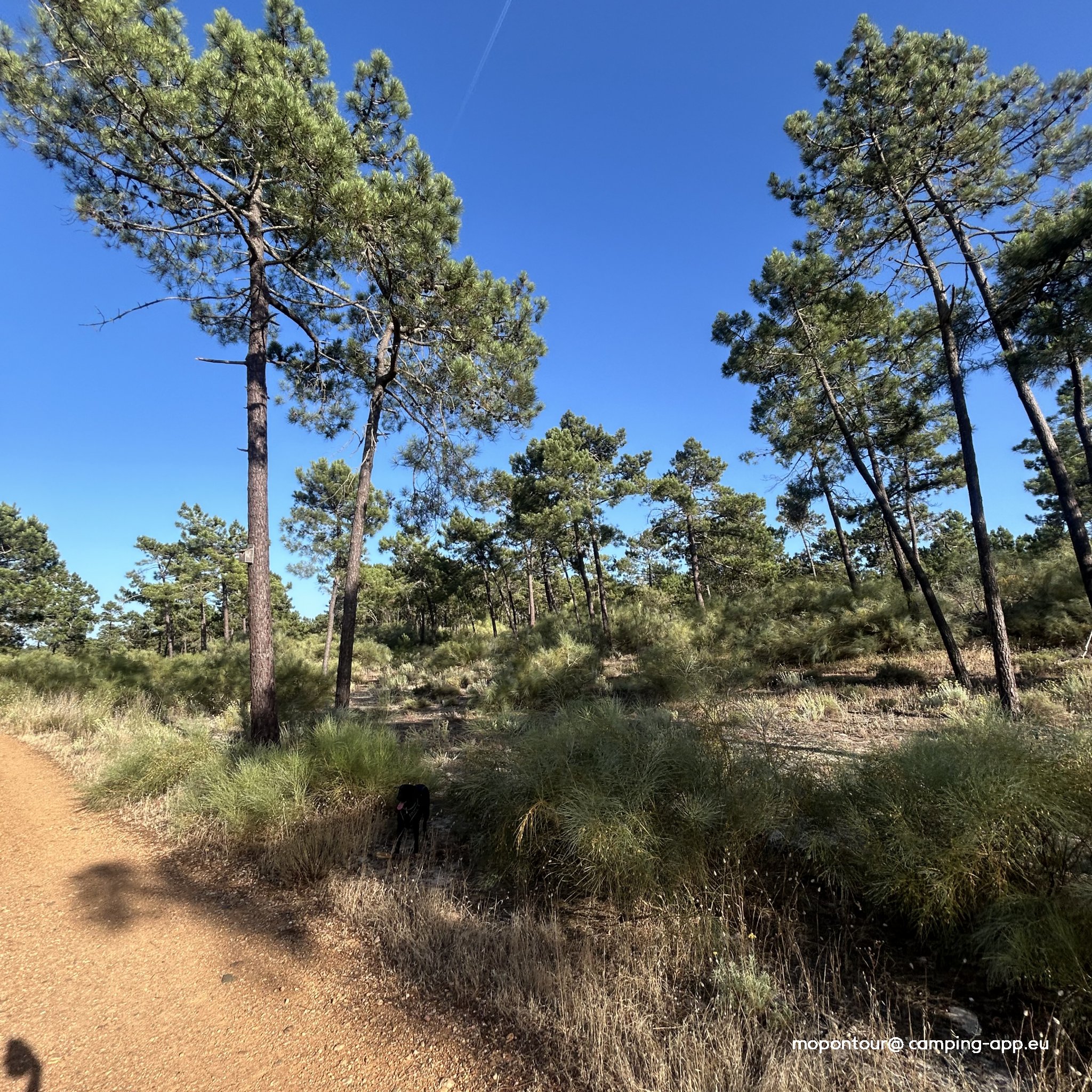 Campismo de Monte Gordo — Foto 4