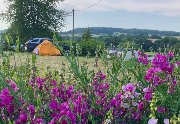 Camping Gross-Eichen — Photo 5