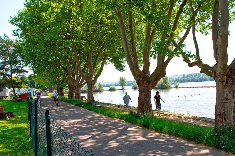 Rheingau Camping — Camping in Geisenheim