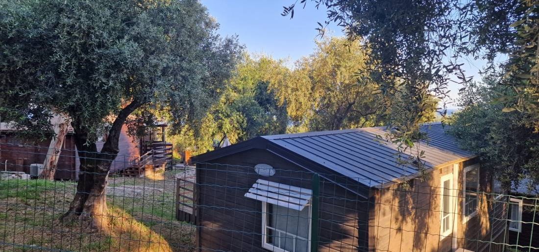 Campsites French Riviera Menton - St Michel — Camping in Menton
