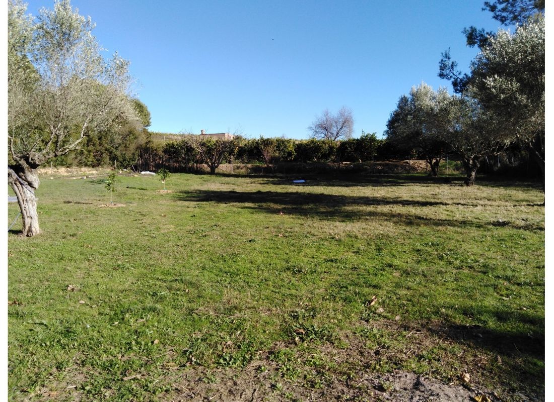 The Fool & The Princess — Stellplatz in Godelleta