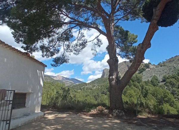 El Realet — Photo 2