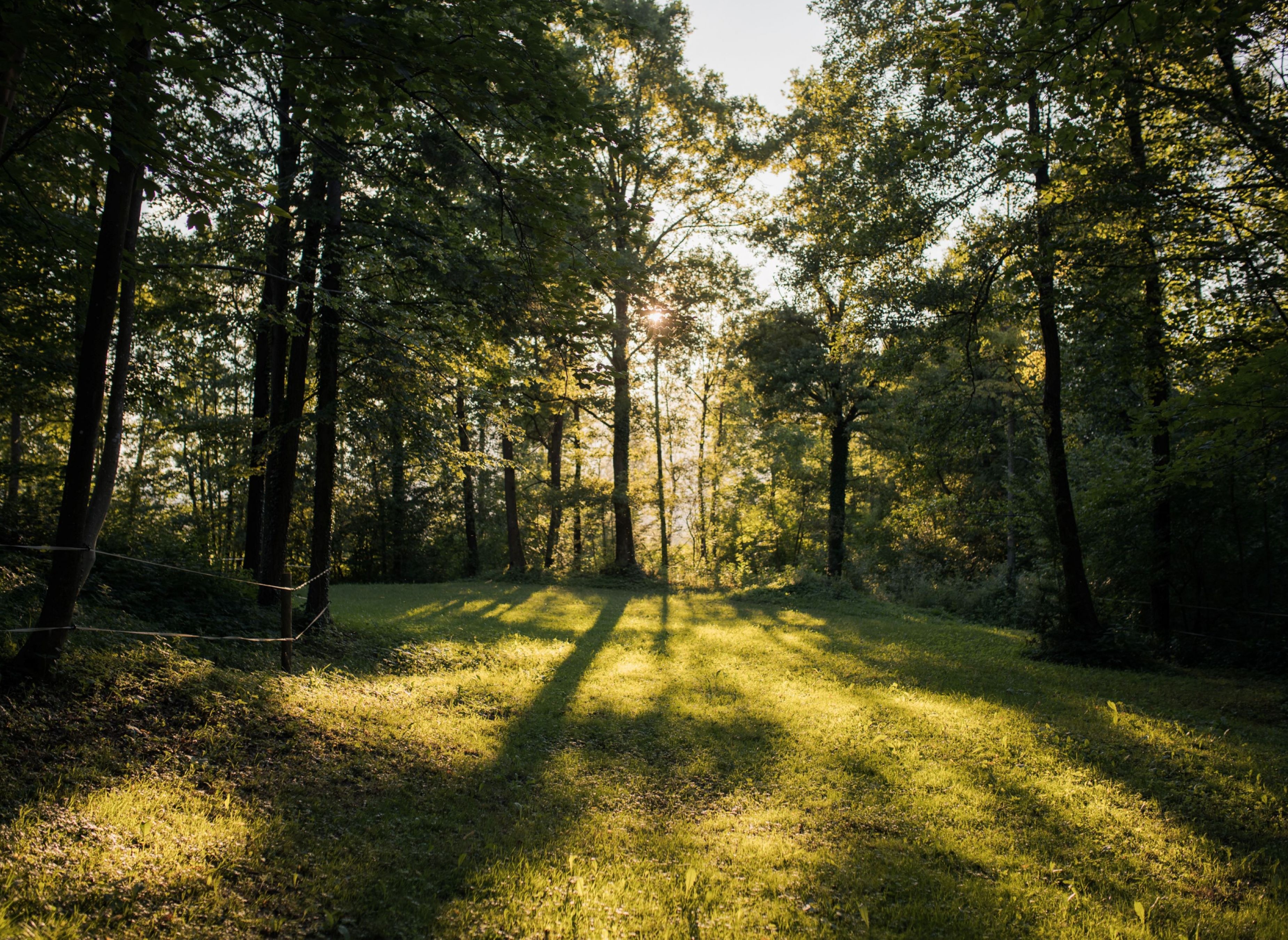 Forest Camping Mozirje — Karavan Sitesi in Mozirje