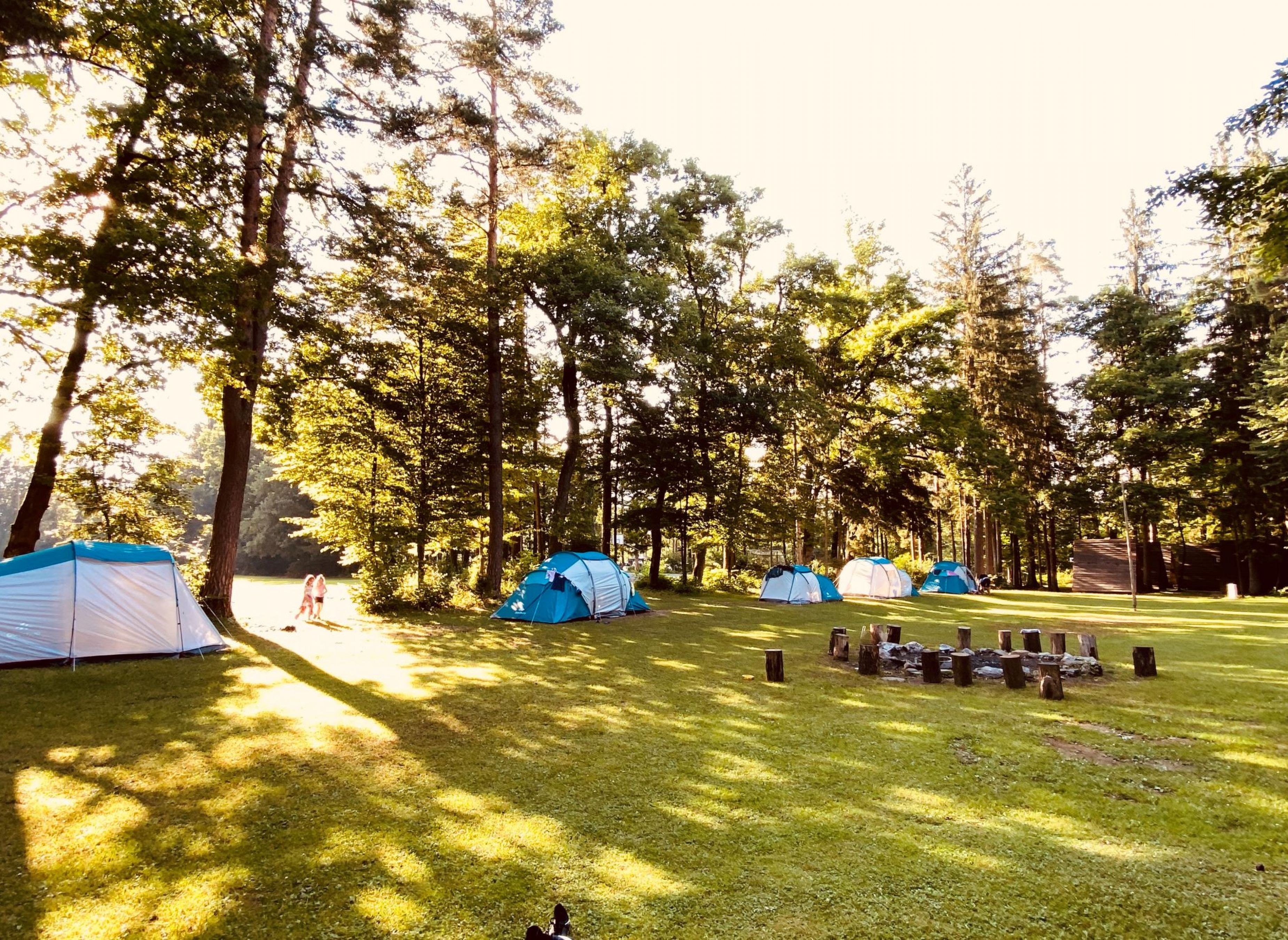 Forest Camping Mozirje — Sítio para autocaravanas in Mozirje