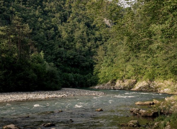 Forest Camping Mozirje — Photo 5