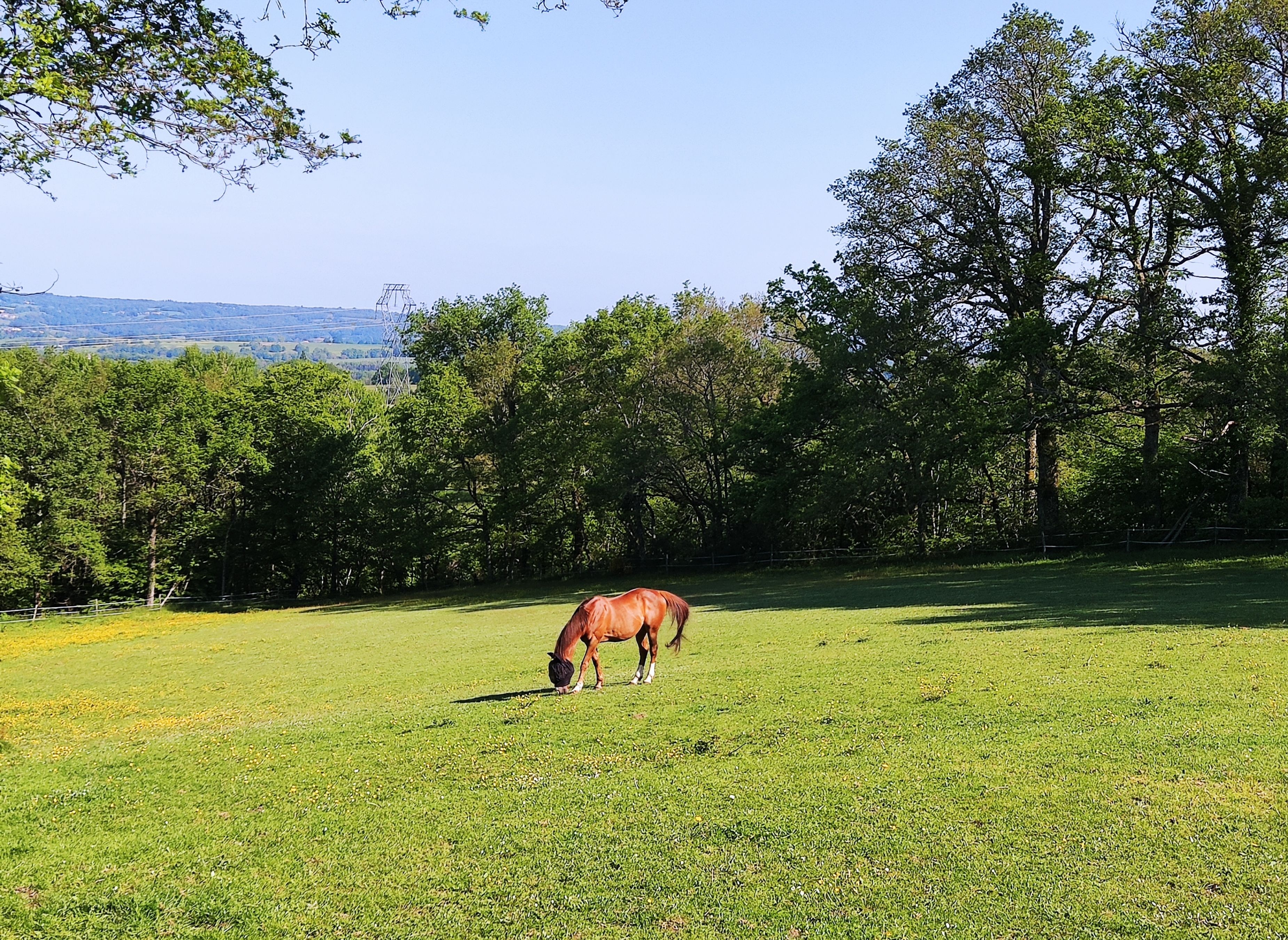 Bella becca ranch — Camping in Eymouthiers