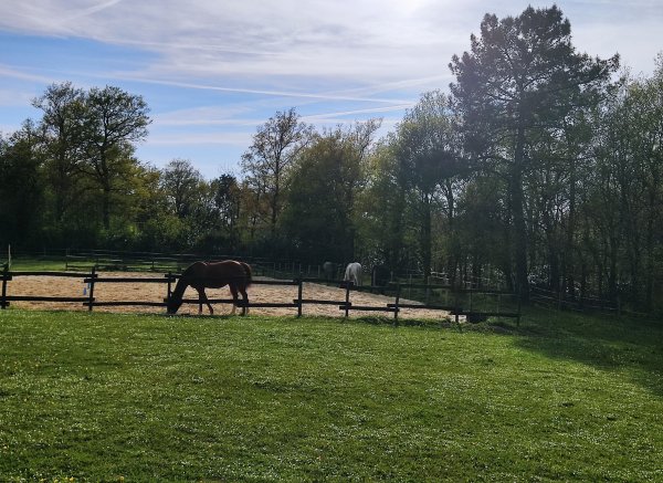 Bella becca ranch — Photo 2