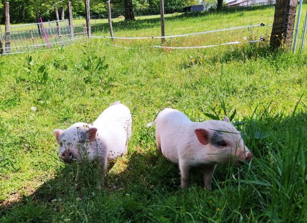 Bella becca ranch — Photo 3