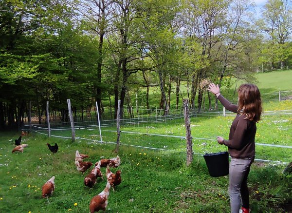 Bella becca ranch — Photo 5