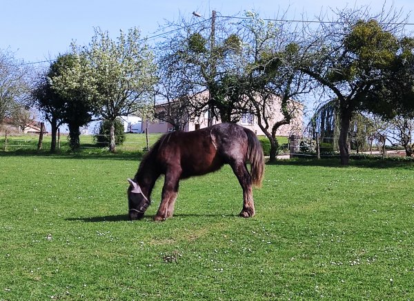 Bella becca ranch — Foto 2