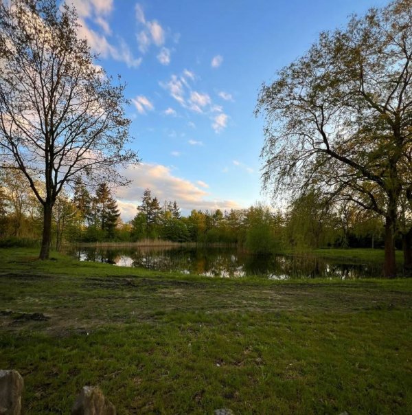 Negende Zaeligheyt — Photo 4