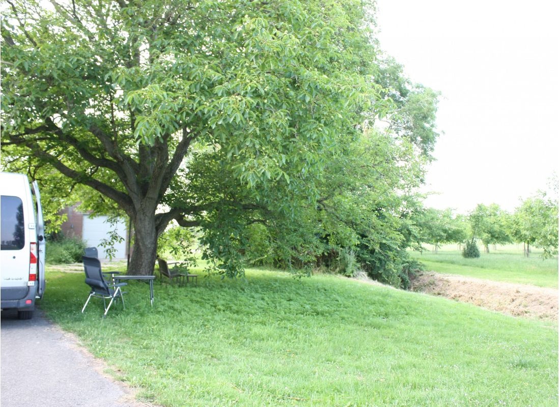 Onder de oude walnotenboom — Stellplatz in Kampen