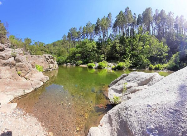 Le petit camping du Gard — Photo 4