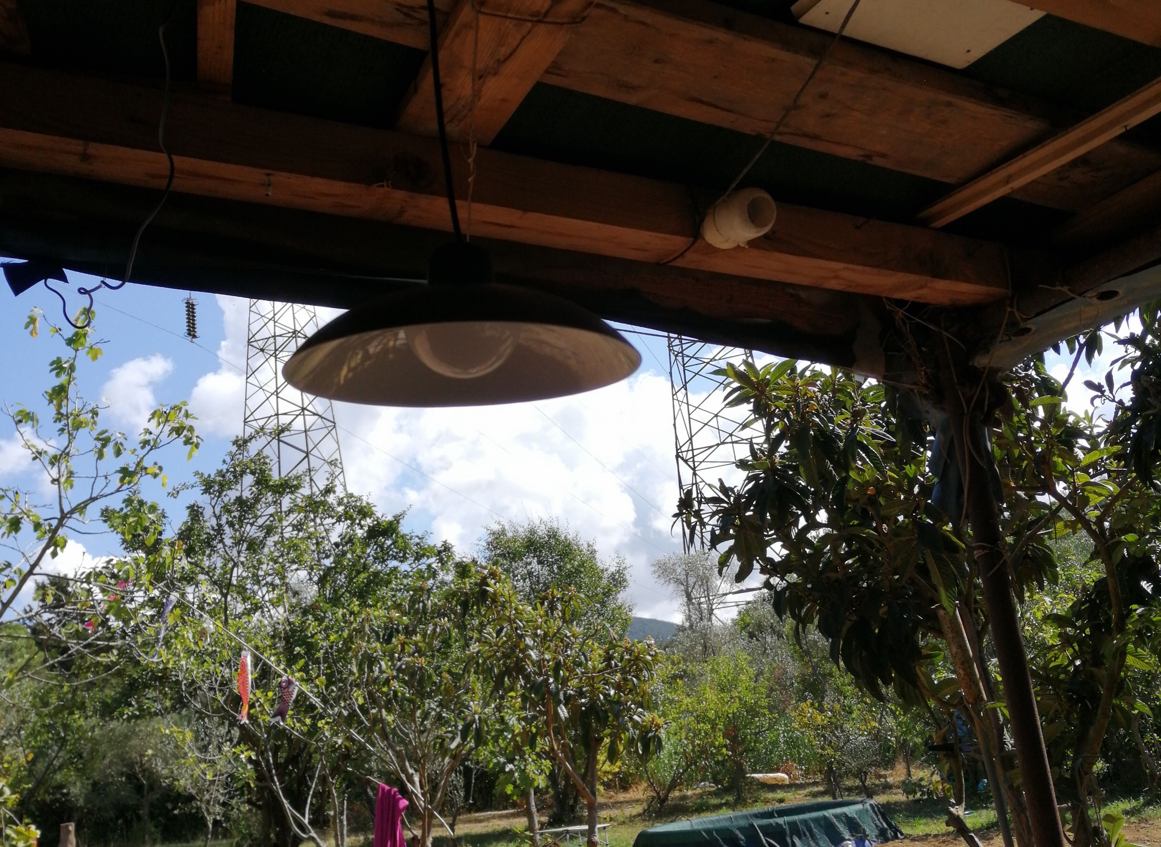 Gattolandia — Campingplats in Provincia di Livorno