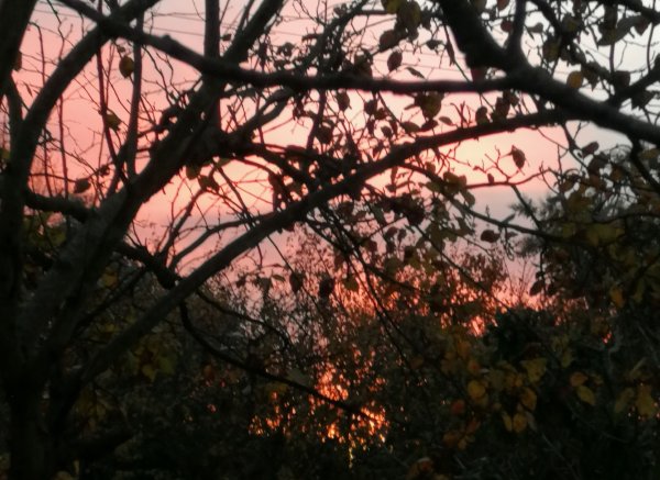 Gattolandia — Photo 2